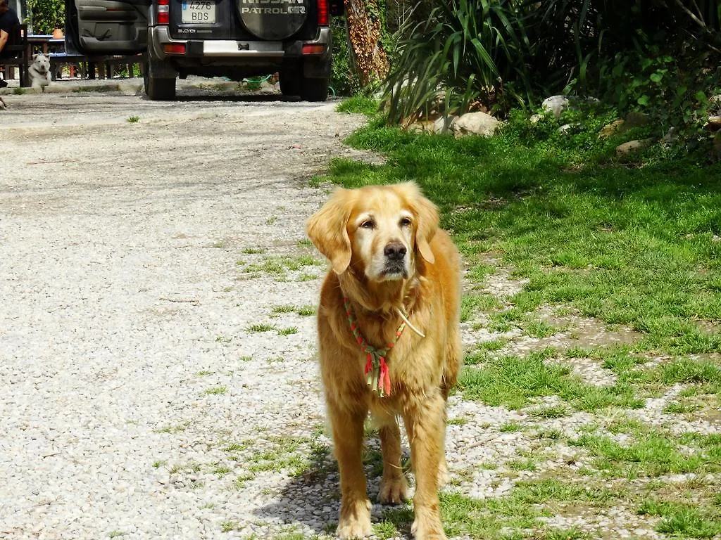 B&B Mas Torrencito Pet Friendly Parets de Ampurda