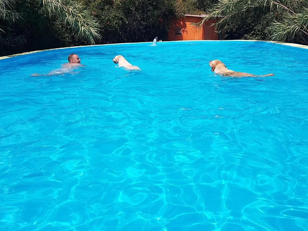B&B Mas Torrencito Pet Friendly Parets de Ampurda Spain